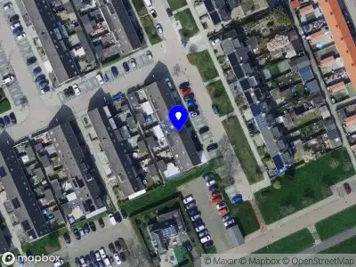 Verloskundige Bielschowsky