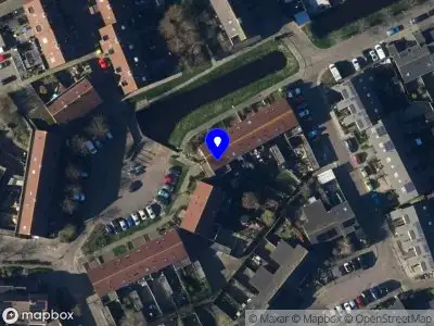 Blij hoogbegaafd Hippolytushoef