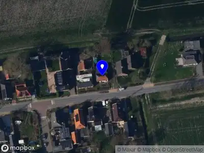 Nieuw bedrijf Cees Vegh kunstschilder