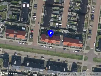 Verpleeghart Professional