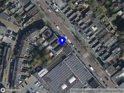 Bloem van Damascus Breda
