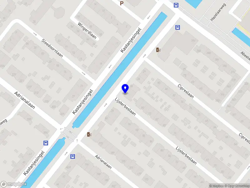 Nieuw bedrijf Titia Verdenius Coaching en Advies