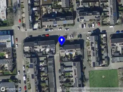 Nieuw bedrijf D. Serban Import Export