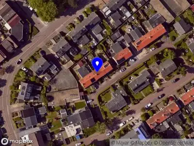 Natural Beauty Texel