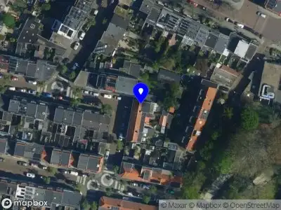 Bogojev Haarlem