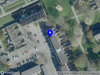 Nieuw bedrijf Lion Roots Dreadlock Service