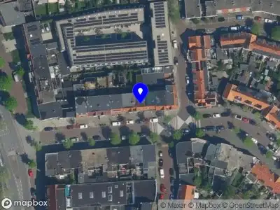 Alpaca Rosa Haarlem