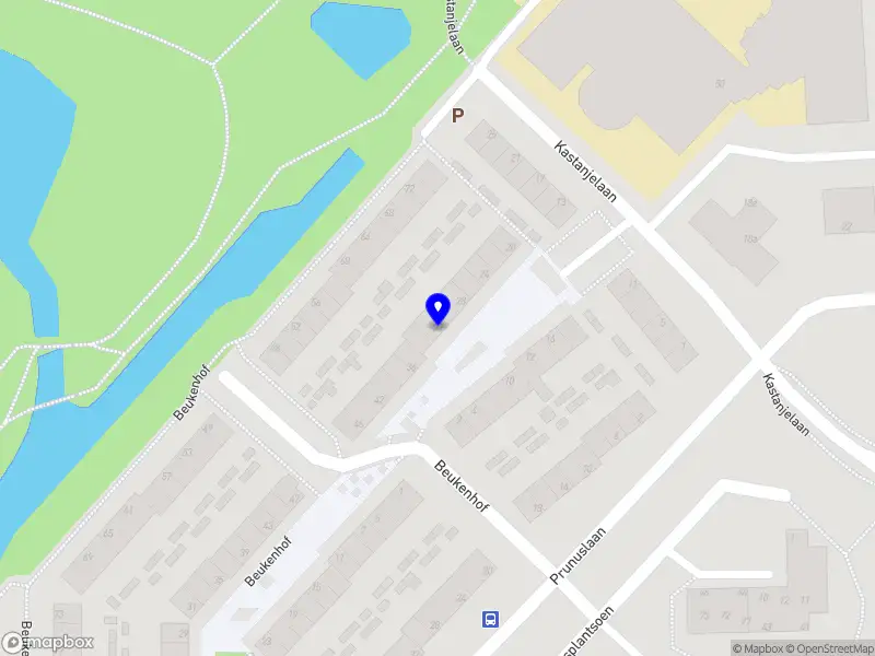 Nieuw bedrijf Agnass Services