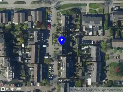 Nieuw bedrijf Tamis Advies