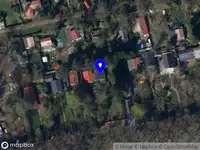 Coaching & Consulting Selena Dolderer