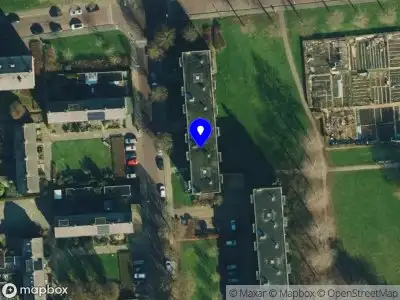 Jeltephant Zwolle