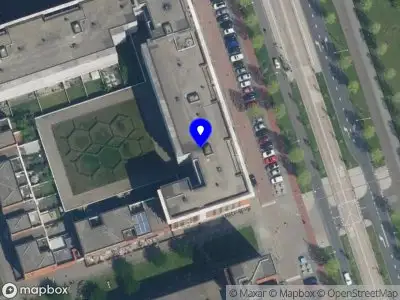 The Luxury Service Group