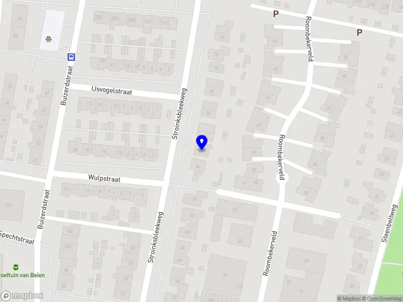 Animus Psychologische Zorg