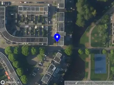 Steinbagsandmore Leiden
