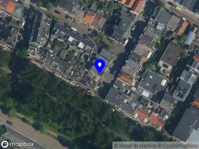 Sim Bunny Haarlem