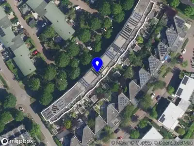 Lynn Tolk Nederlandse Gebarentaal