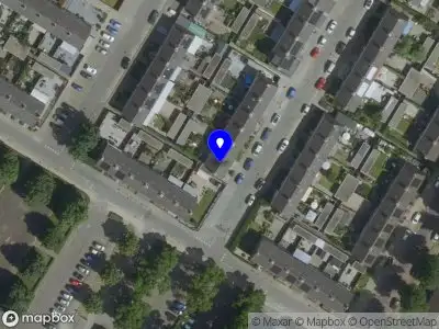 Eating Vegan With Me