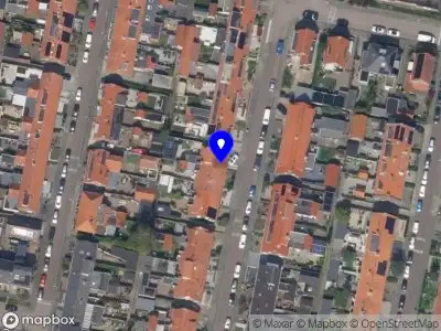 Nieuw bedrijf hip voor honden