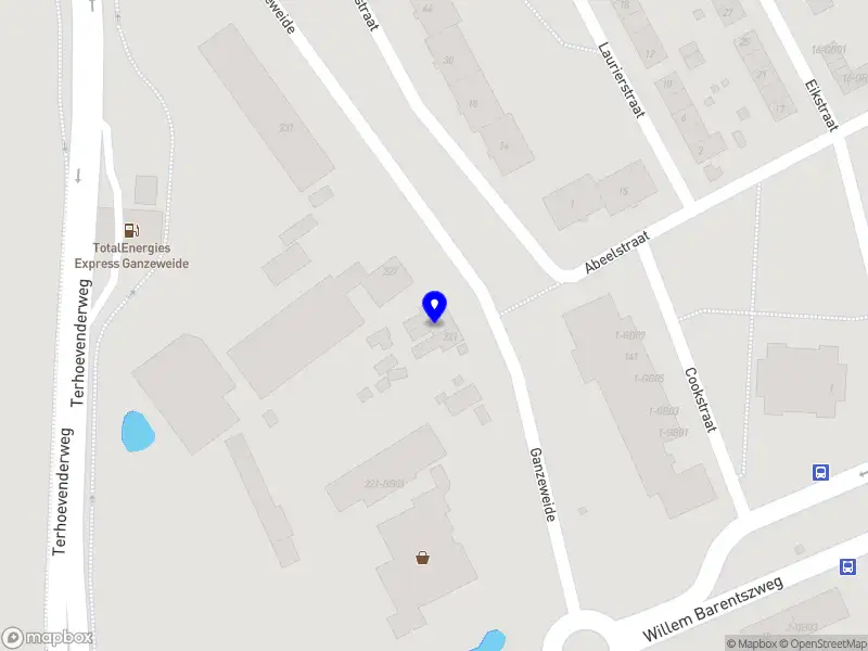 NiceaArapu 888 Development