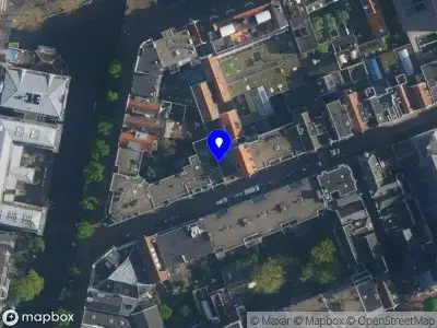 Cat Maximova Amsterdam