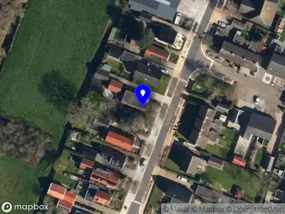 Nieuw bedrijf The Local Vocals