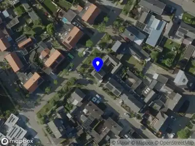 Rapha?l custom projects