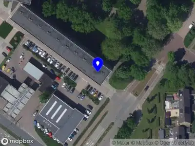 Beauty Blossom Jasmine