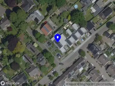 Nieuw bedrijf Forest&Trees