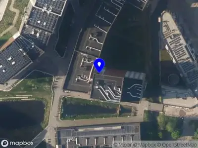 Bergdis Leiden
