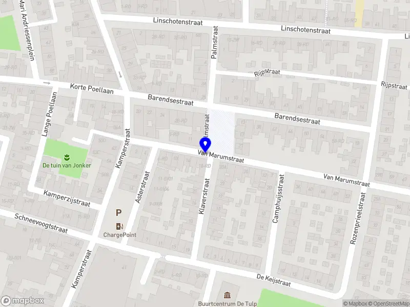 Human potential studio Haarlem