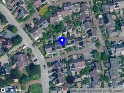 Nieuw bedrijf Taalvrucht