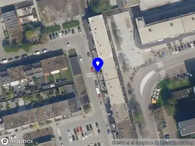 Rosaliedjes zang- en muziekeducatie Rotterdam