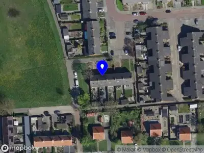 Cezar Snelle Handen Lage Zwaluwe