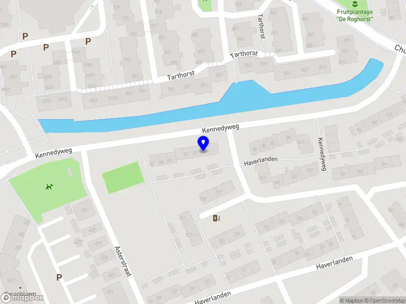 Zoon Services & Onderhoud