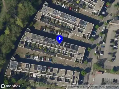 Nieuw bedrijf Milena Lucic