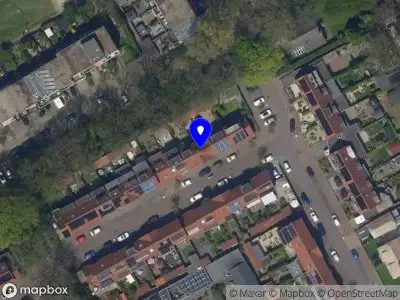 Little tails in life