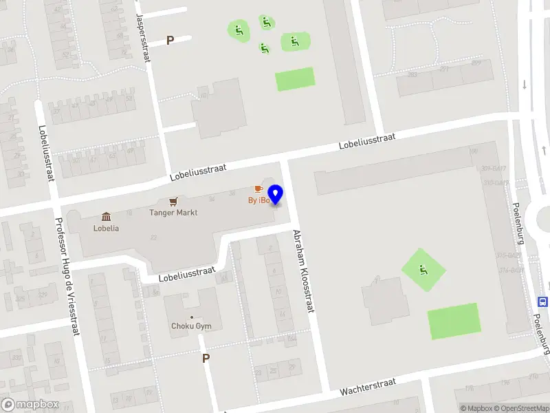 Bicer Security Services