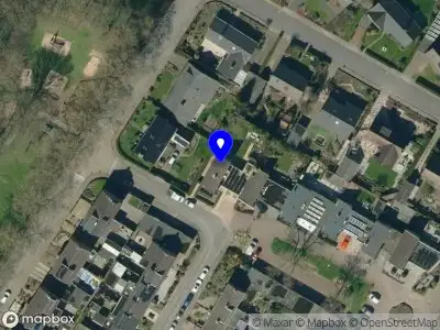 Vooruit met verdriet Duiven