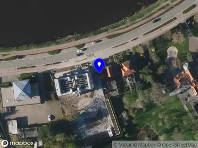 Roos Natuurlijke Decoraties