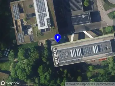 Dzifa WORKS Hilversum