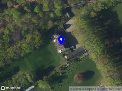 Stichting Dutch String Collective