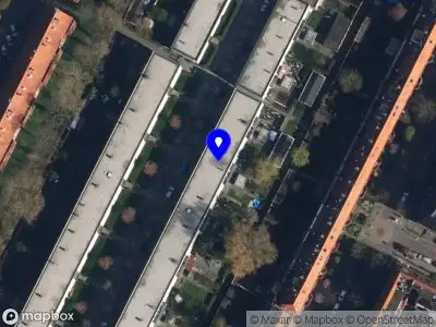 Stichting Carbon sink