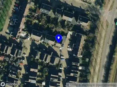 Drive Training & Coaching