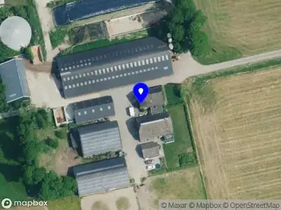 NELLEKE BRUIN NIJBROEK