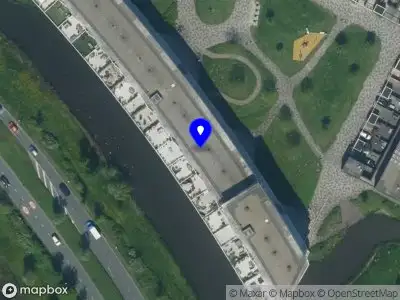 Claudia Kardinaal Flowers