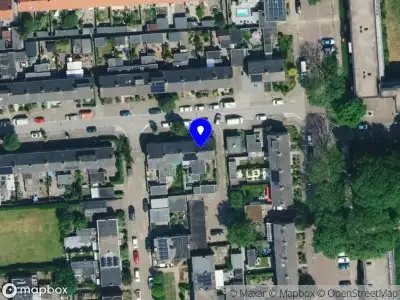 Paarden Paradigma Zutphen