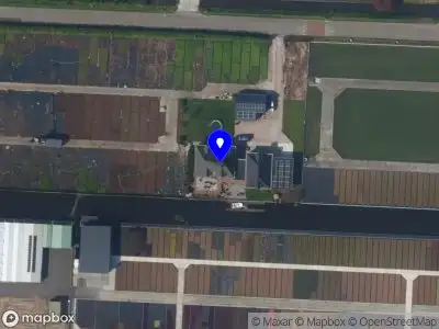 Goede KoopTuinplanten REEUWIJK