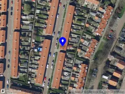 Trimsalon Care for Dogs