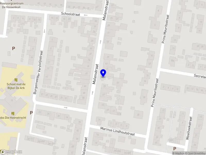 Allayna Herstelgids Coach