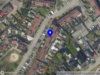 Nieuw bedrijf Blooming Baobab